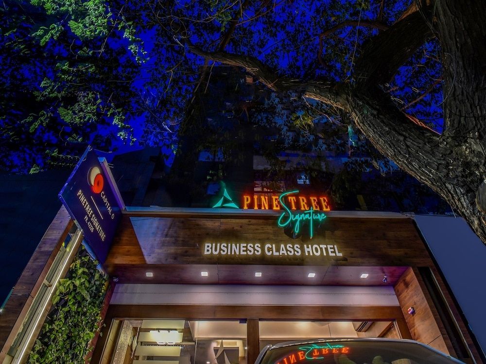 undefined Capital O 42226 Pine Tree Signature 2