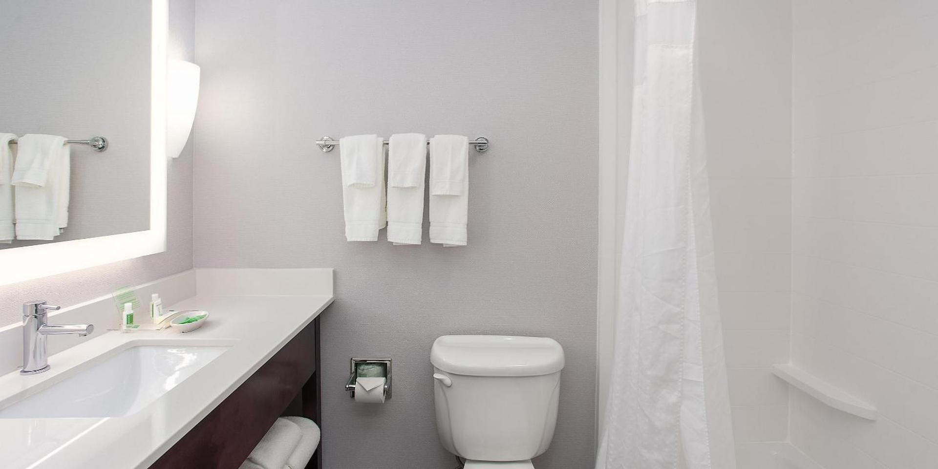 Studio Suite 2 Bed Mobility Accessible Tub Non-Smoking