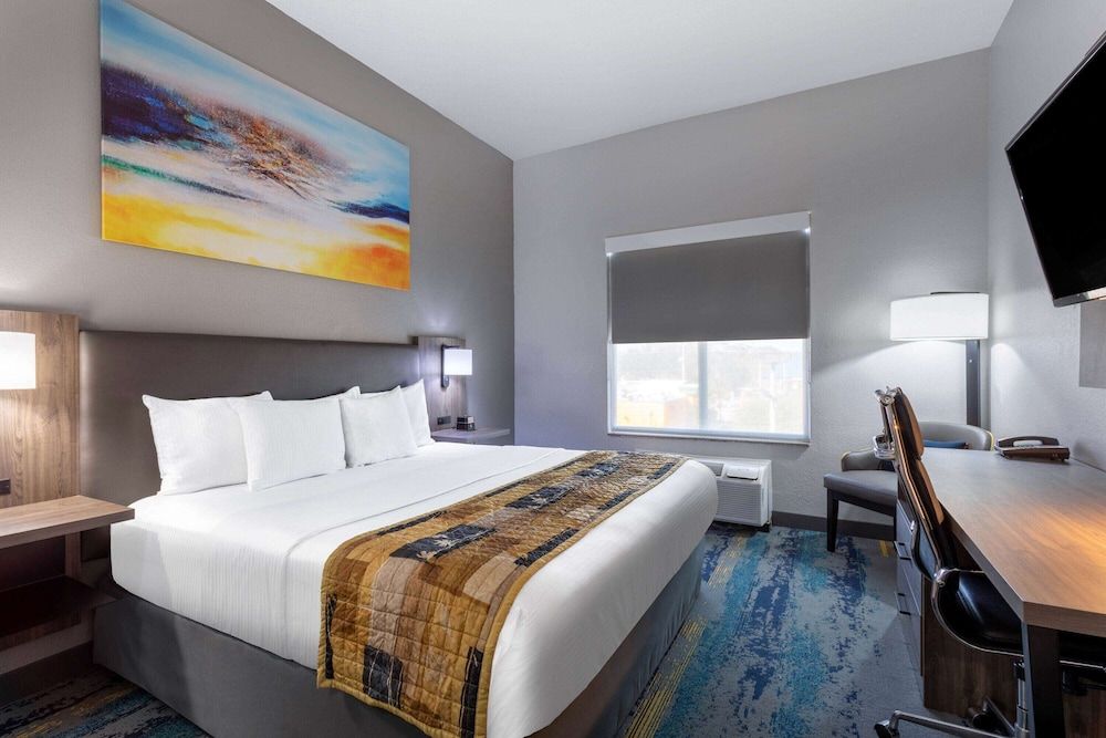Room, 1 King Bed, Non Smoking
