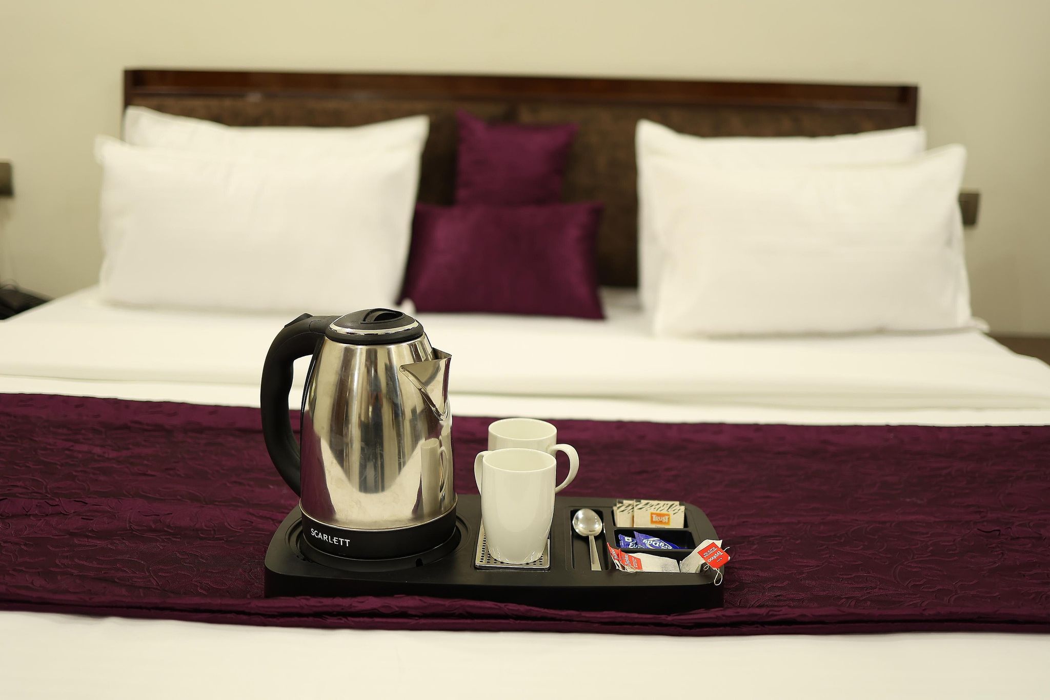 Hotel Grey Castle by PerfectStayz Family Room 3