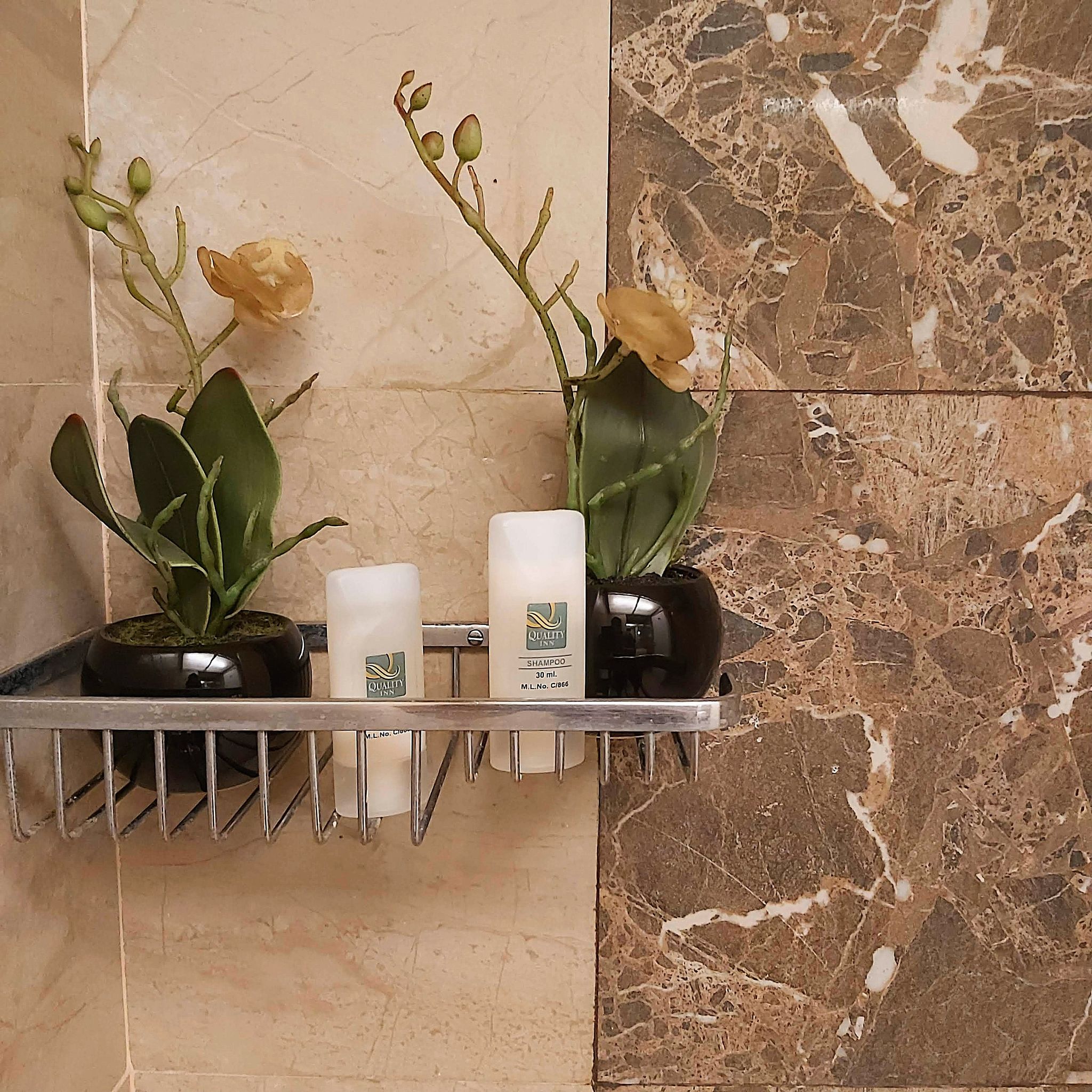 Quality Inn Mint Suite Room 2