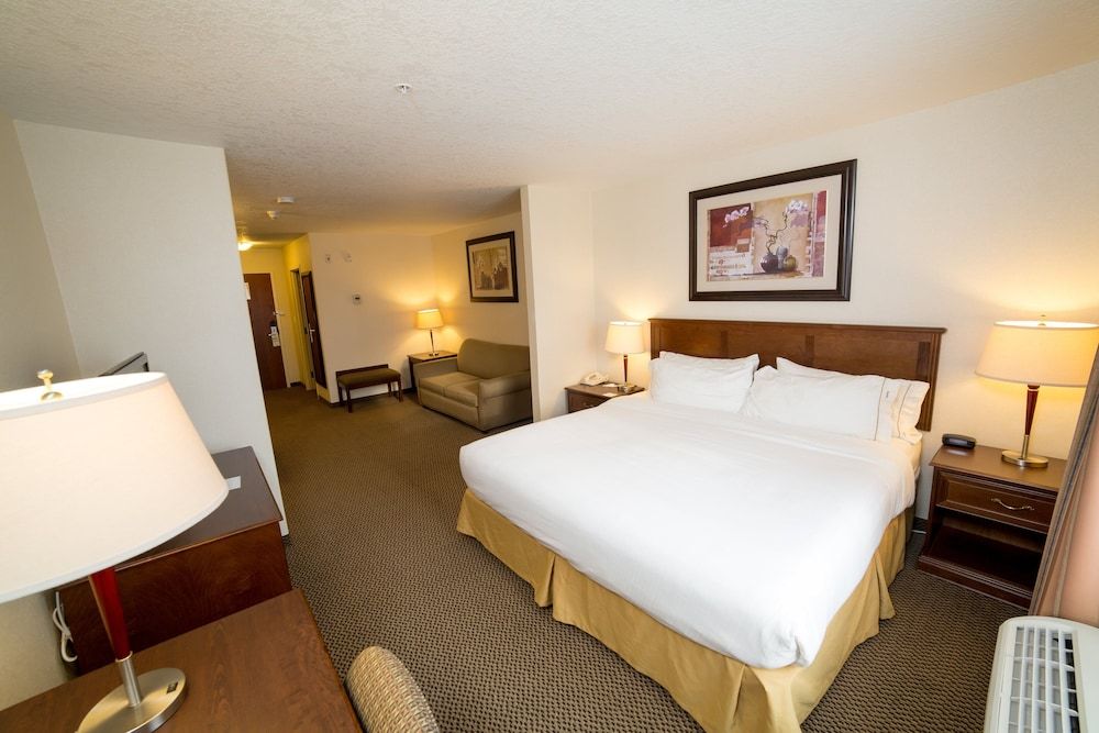 Suite, 1 King Bed with Sofa bed