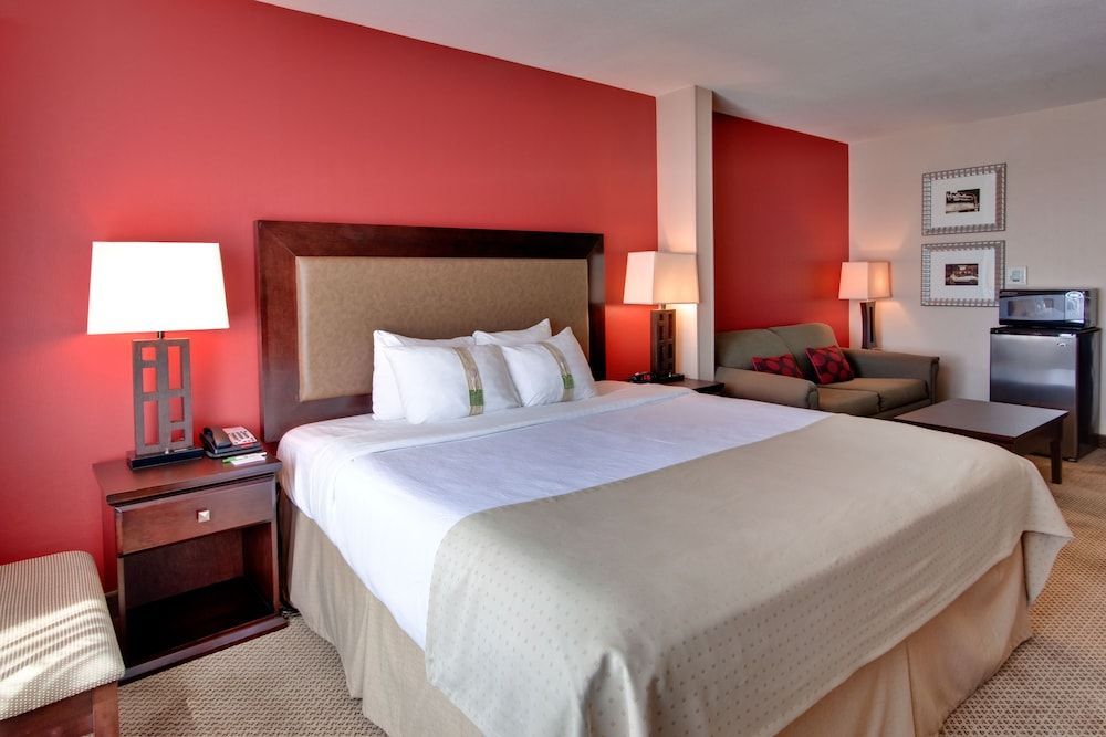Standard Room, 1 King Bed with Sofa bed