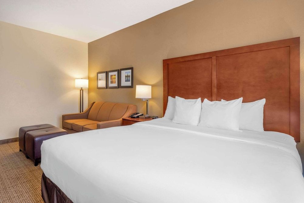 Suite, 1 King Bed with Sofa bed, Accessible, Non Smoking