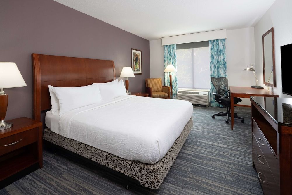 Room, 1 King Bed
