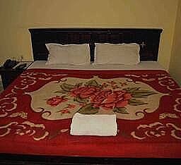 Hotel Malak Mahal Palace Standard Room 5