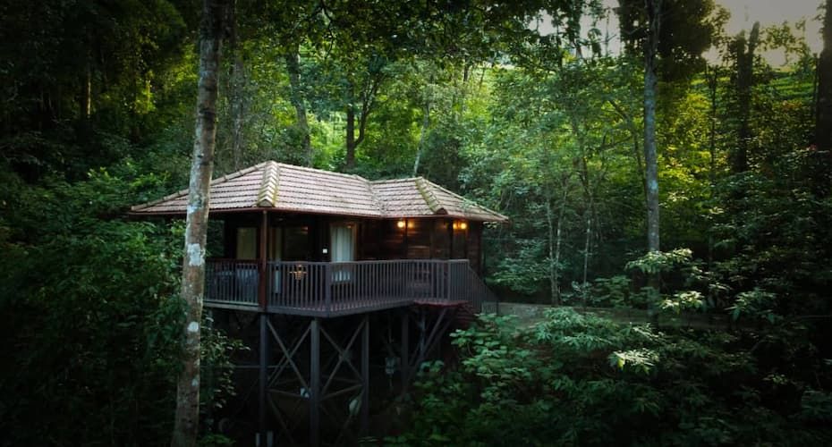 Tree house