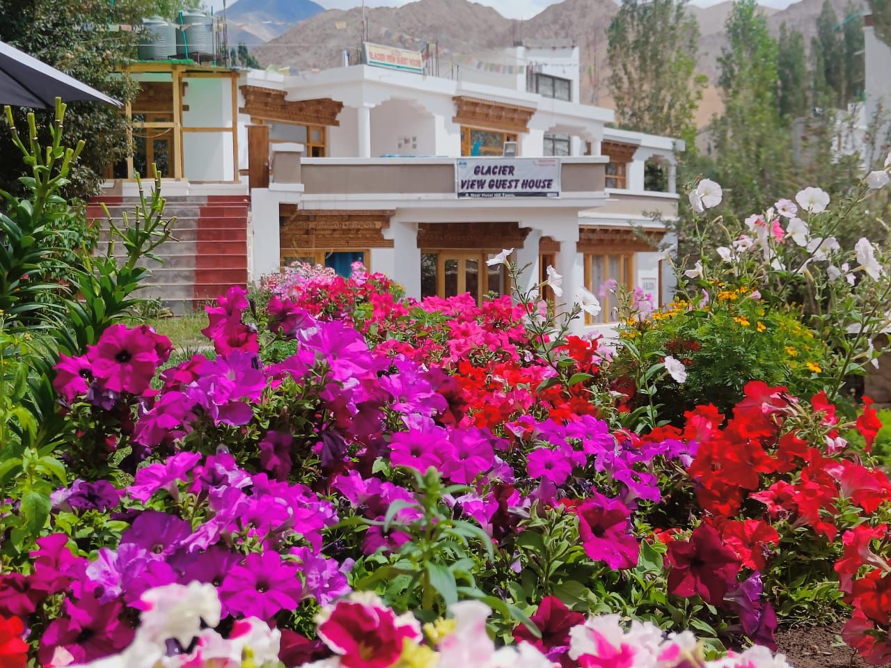 undefined Hotel New Glacier View 10