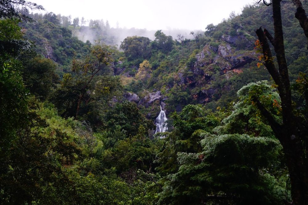 Secret Valley Jungle Resort Family Room