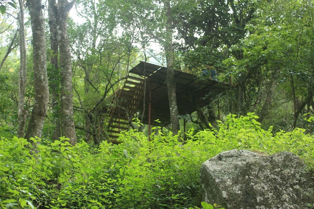 undefined Secret Valley Jungle Resort 10