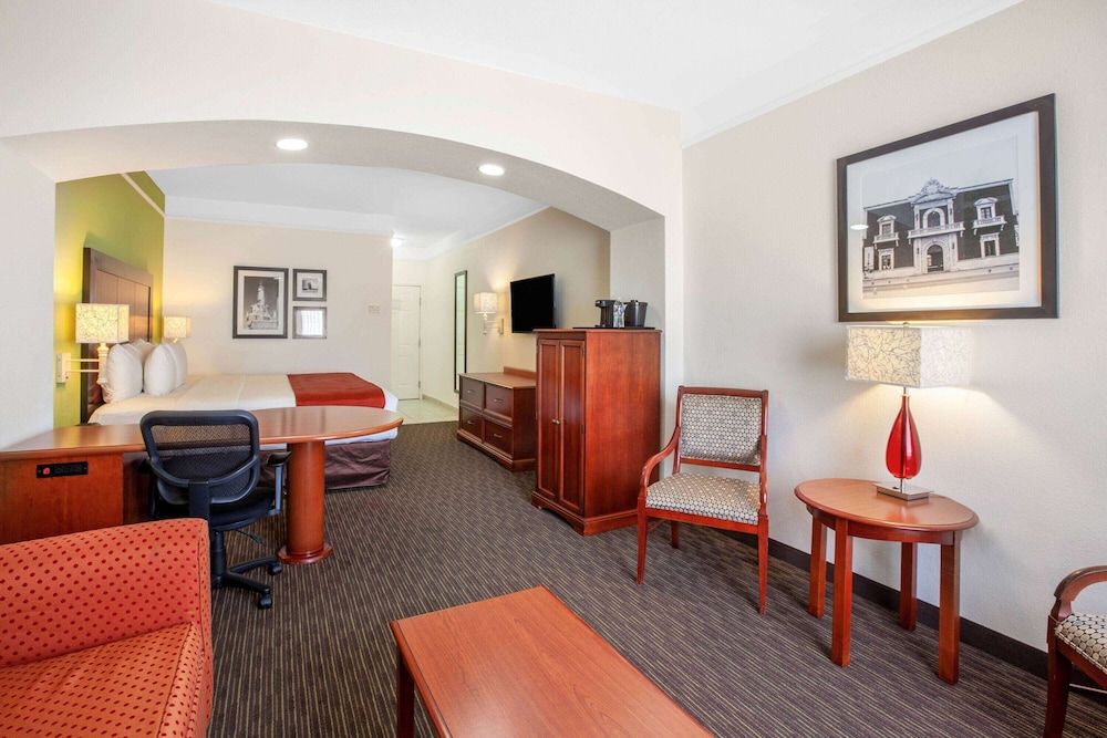 Suite, 1 King Bed