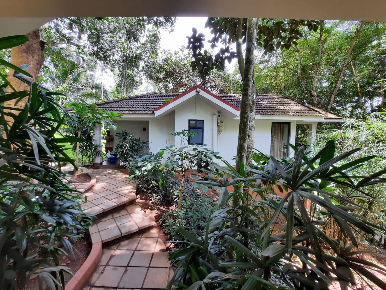 The willow resort Valley View Room 2