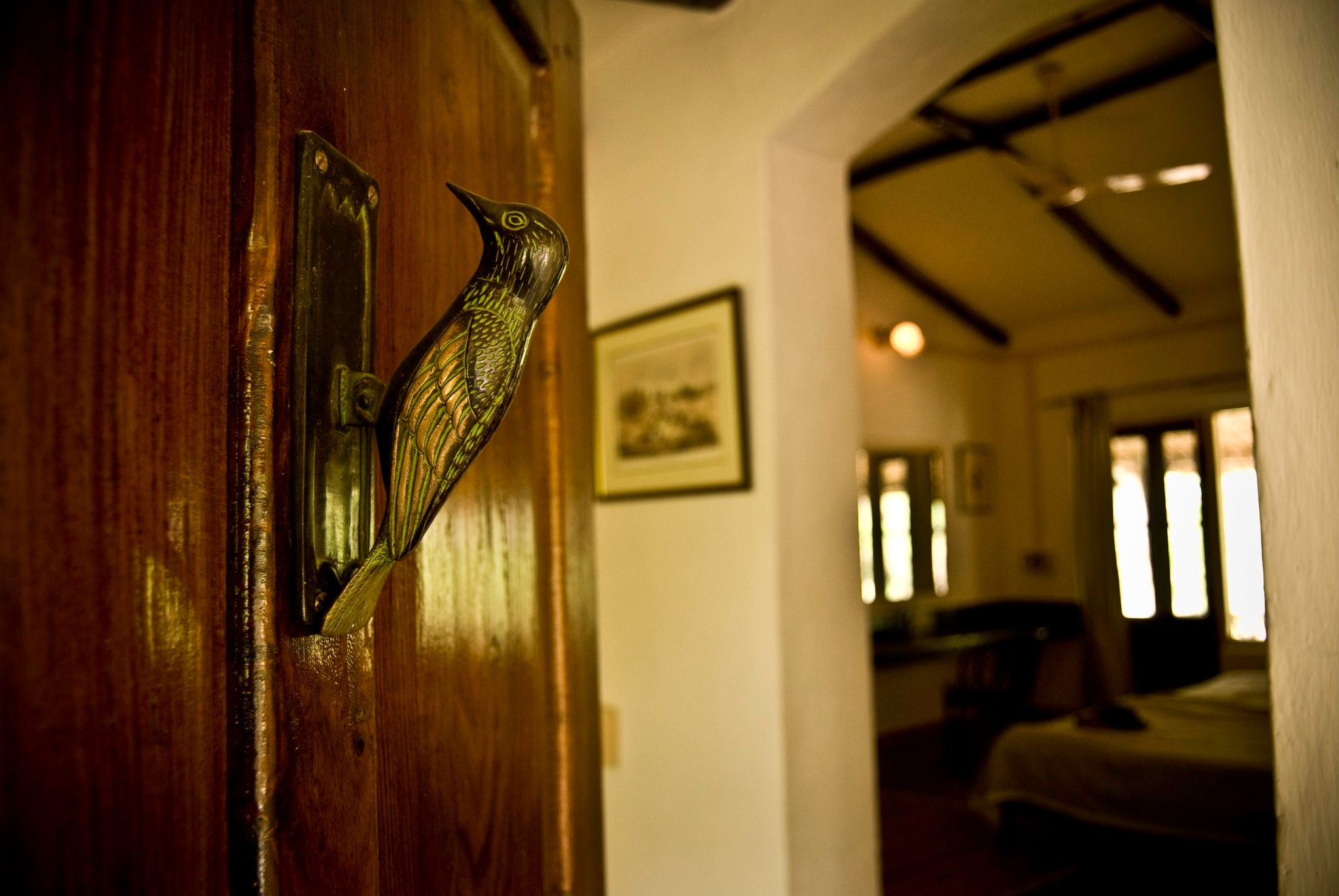 Jim's Jungle Retreat Jungle Family Cottage 6