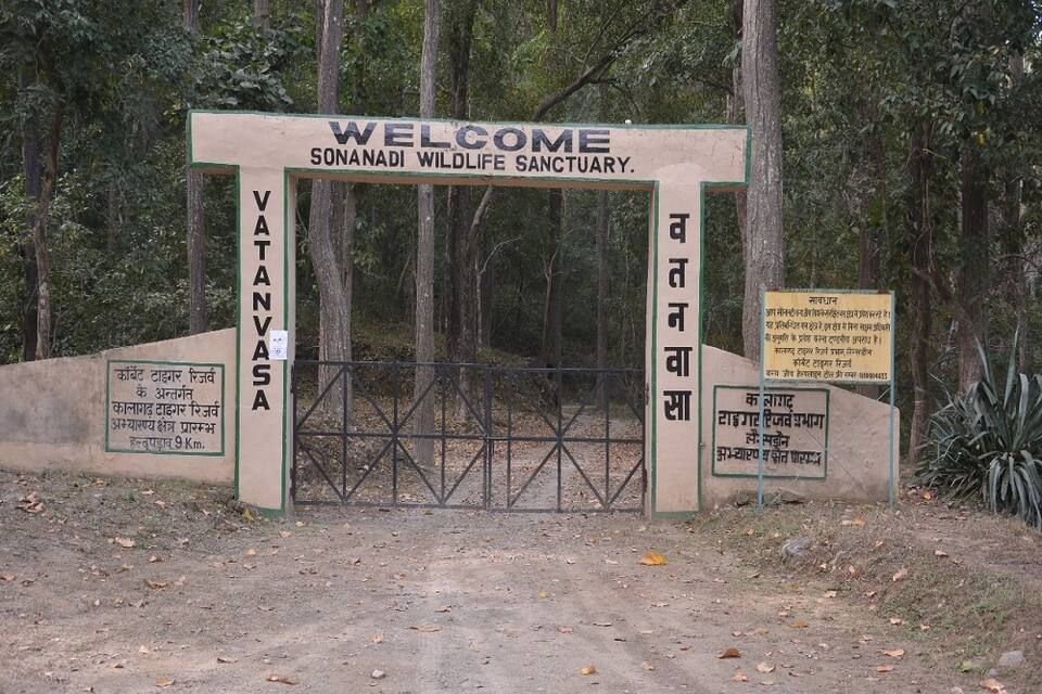 undefined Corbett Mist Resorts 6