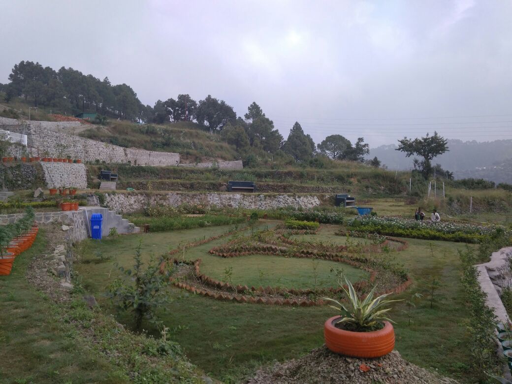 Charekh Food & Forest Resort Deluxe Room 5