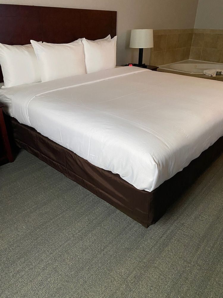 Suite, 1 King Bed with Sofa bed, Non Smoking