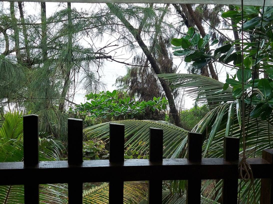 Om Bodhi Retreat Garden view budget cottage 22