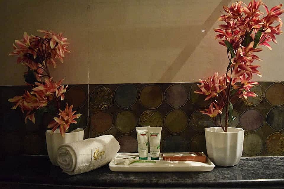 Hotel Dayal Shree Paradise Elite Room 9