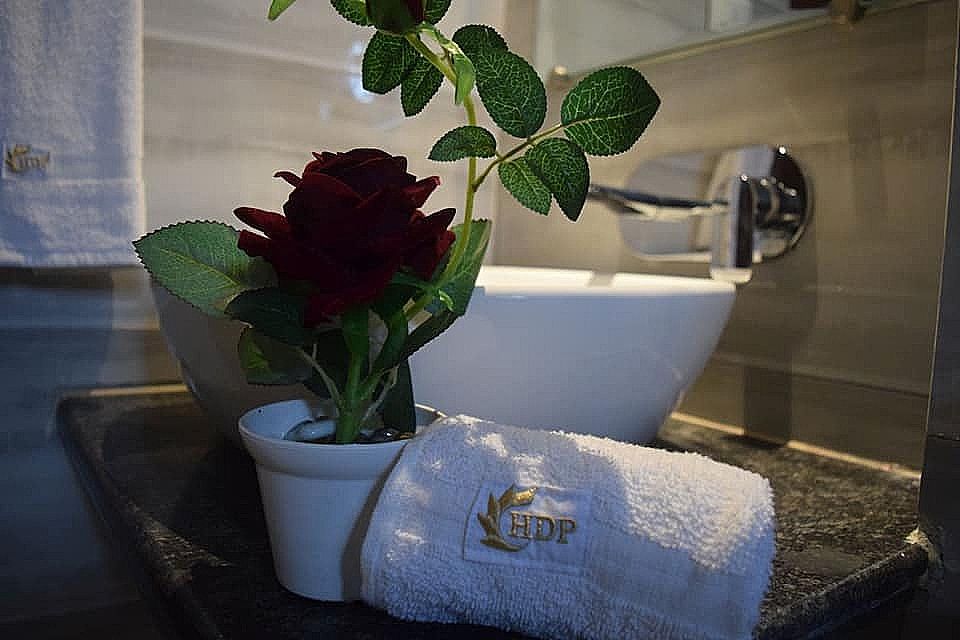 Hotel Dayal Shree Paradise Elite Room 12