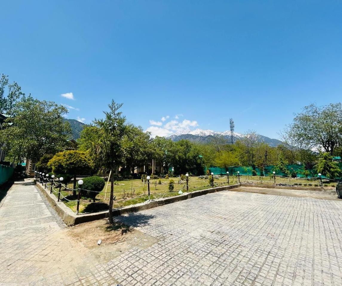 Primary Image