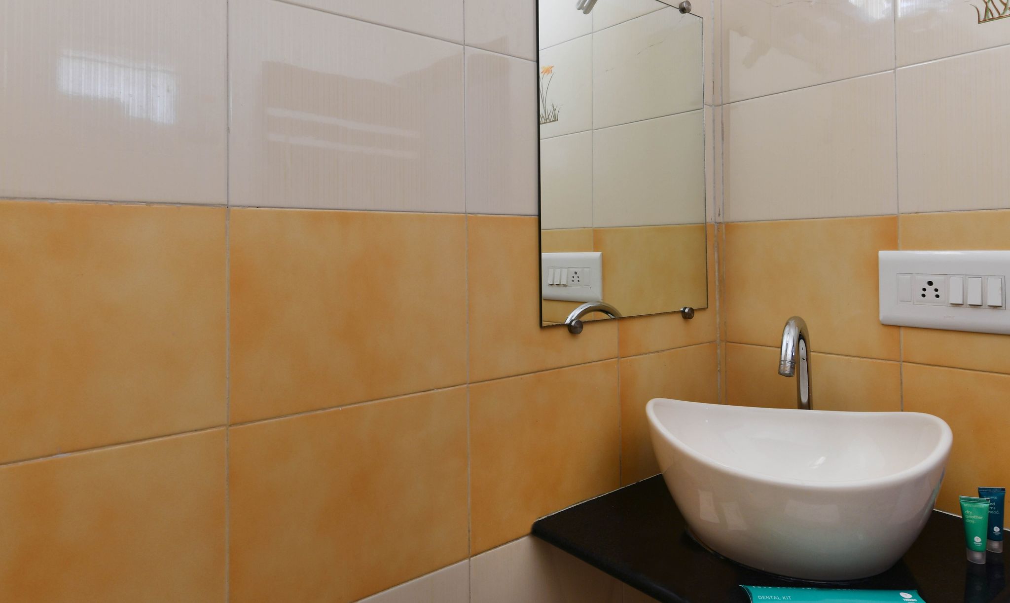 Skylon Hotel Gandhinagar Deluxe A/C Room 8