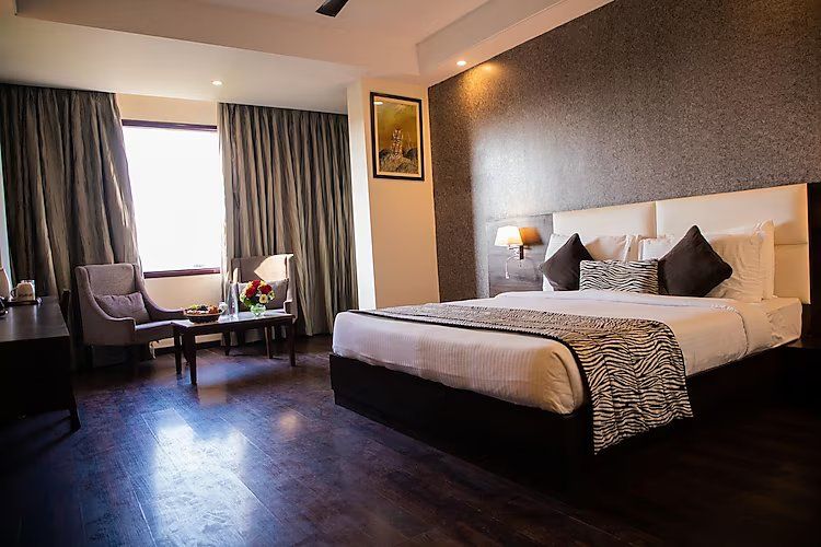 The Baagh Ananta Elite Deluxe Room 3