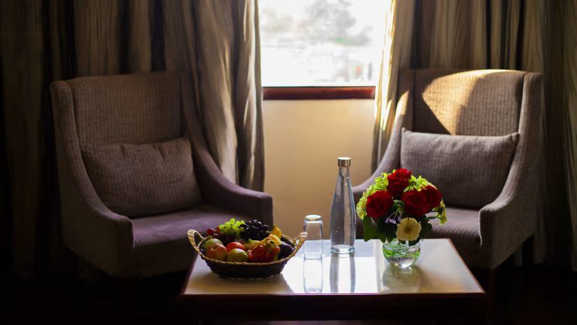 The Baagh Ananta Elite Deluxe Room 5