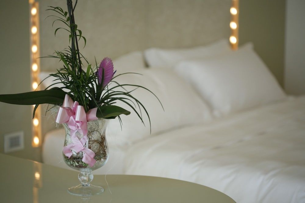 Hotel Premier & Suites Comfort Double Room Single Use, Terrace (Junior) 8