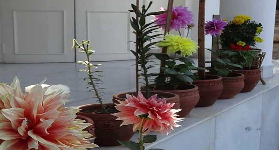 undefined Heritage Homestay 9