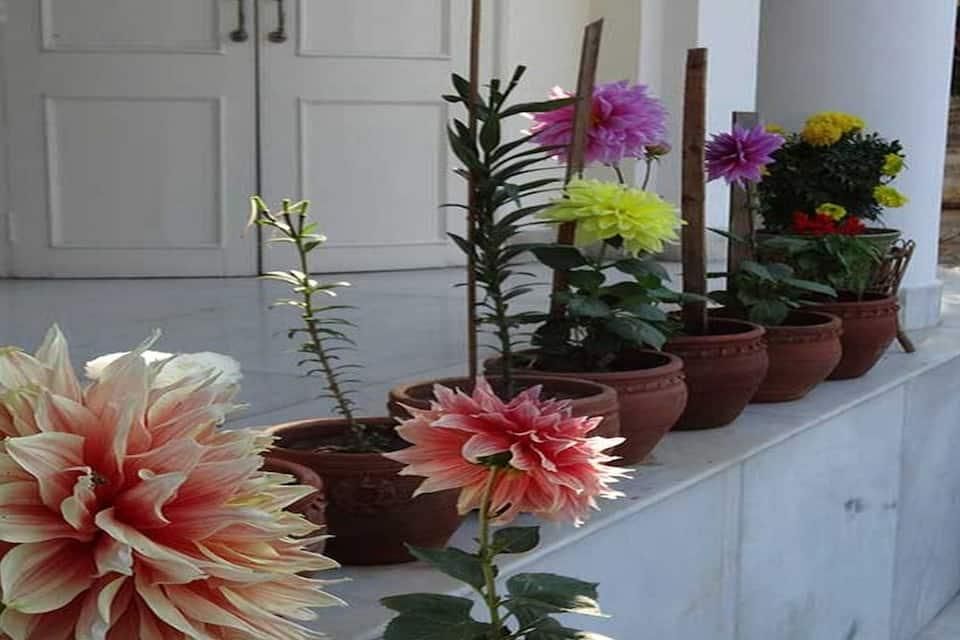 undefined Heritage Homestay 8