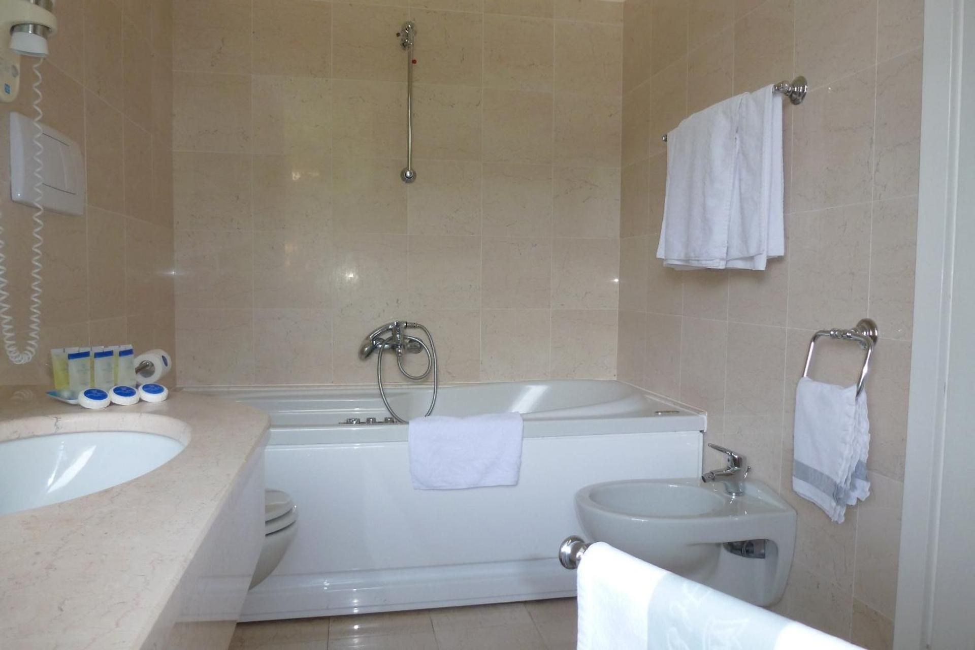 Deluxe Double or Twin Room with Lake View