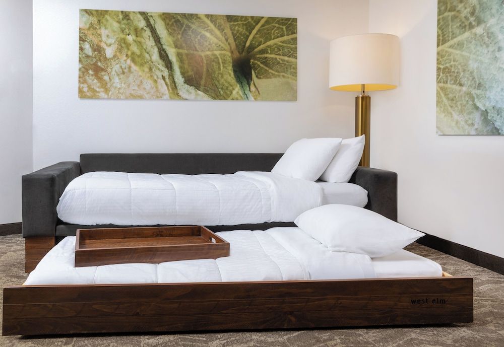Studio, 1 King Bed with Sofa bed (Hearing Accessible)
