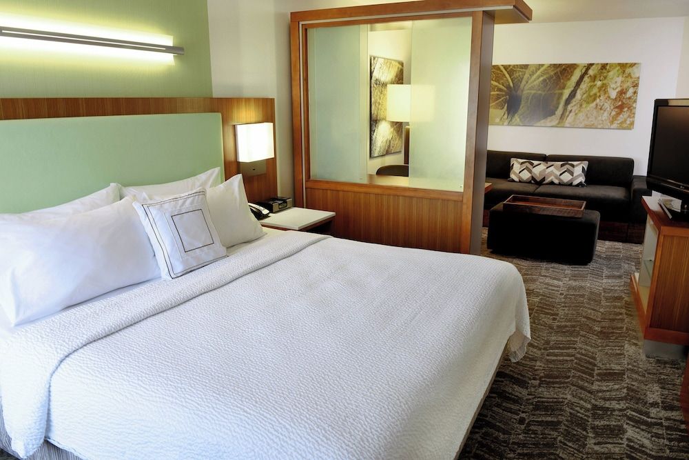 Studio, 1 King Bed with Sofa bed