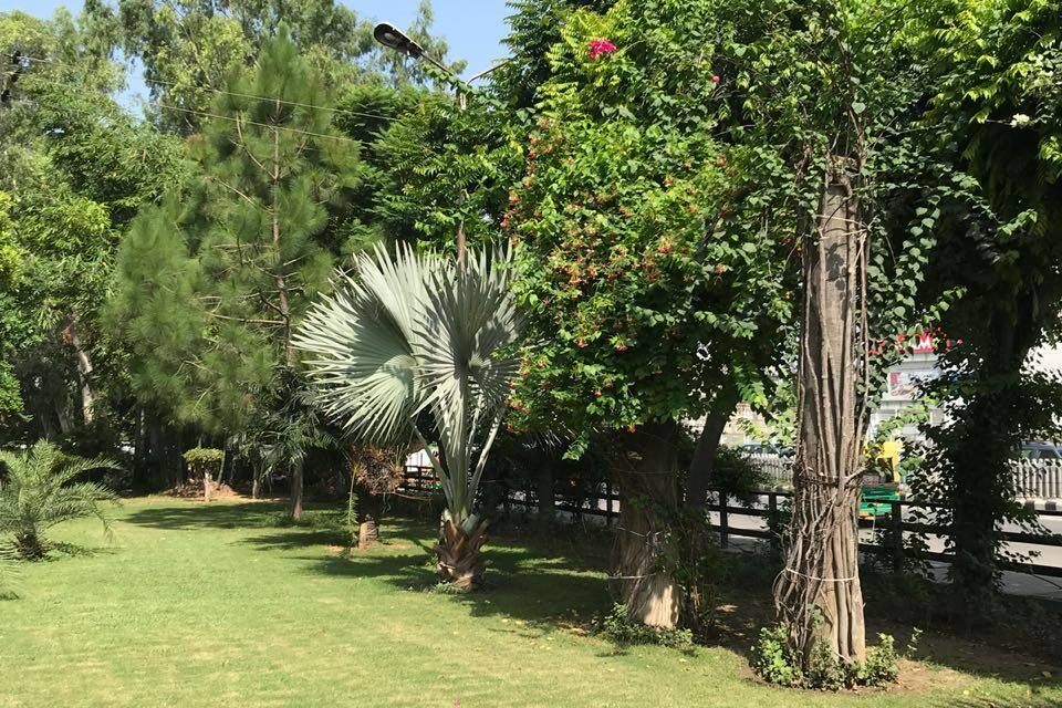 undefined A Hotel Ludhiana 9