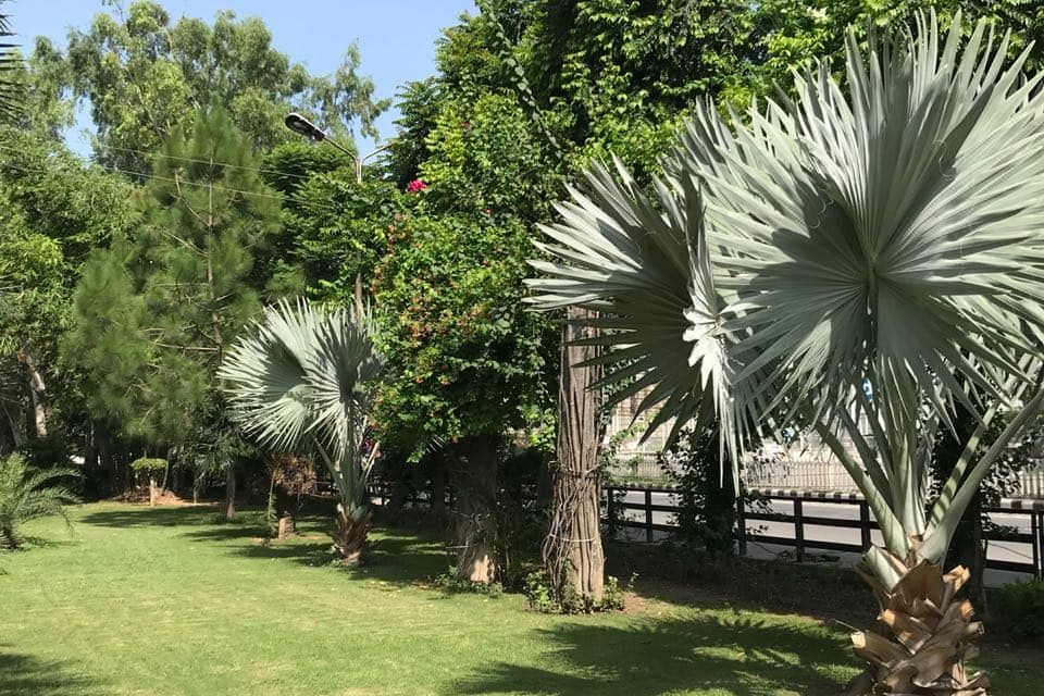 undefined A Hotel Ludhiana 10