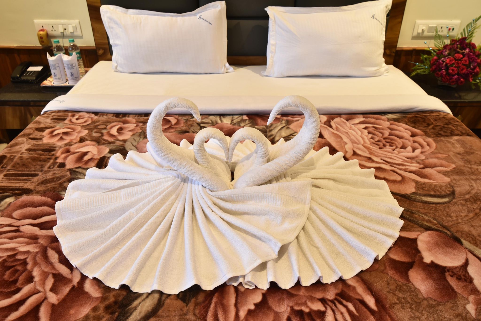 image_2882116_b3aff704-ec79-411d-9676-70531d21cd70