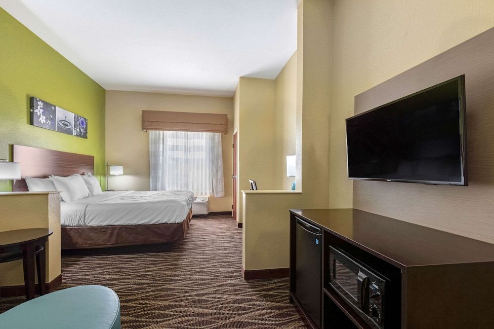 Suite, 1 King Bed with Sofa bed, Non Smoking