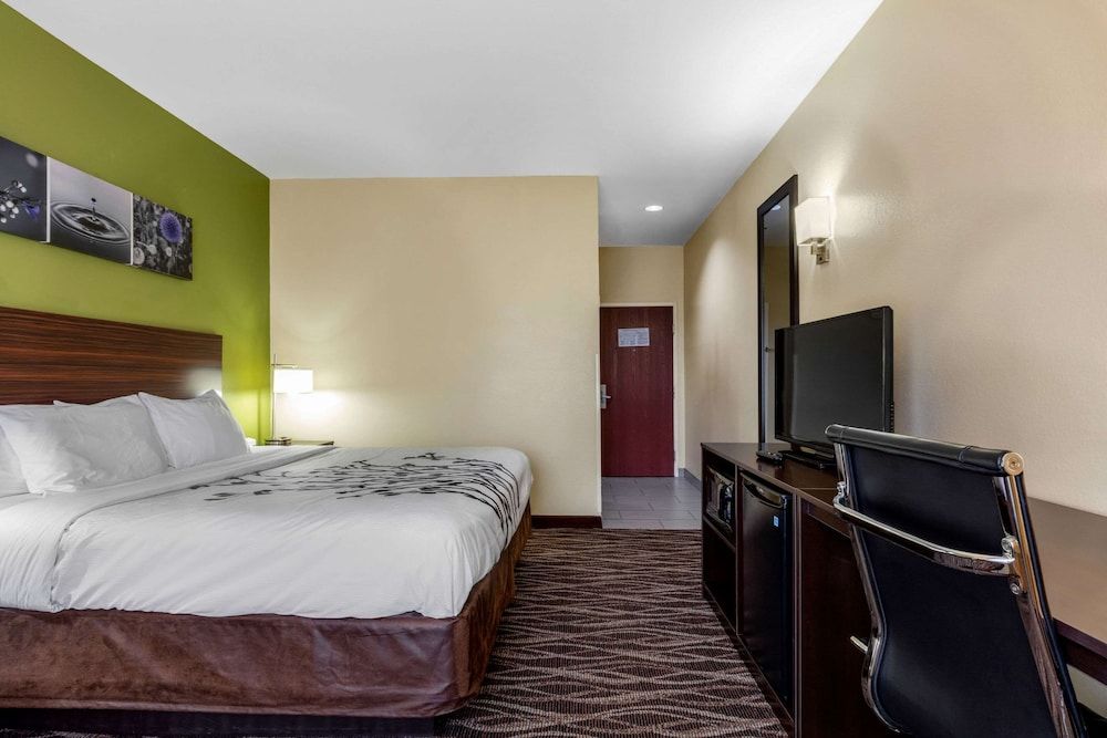 Room, 1 King Bed, Non Smoking