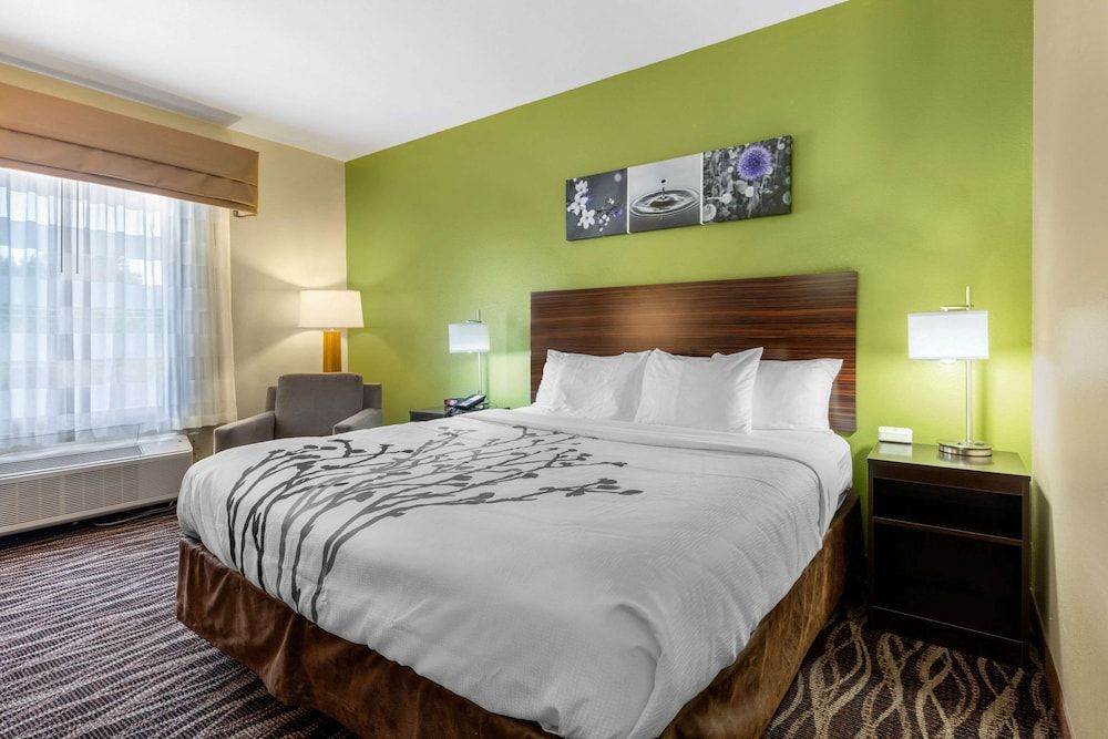 Room, 1 King Bed, Non Smoking