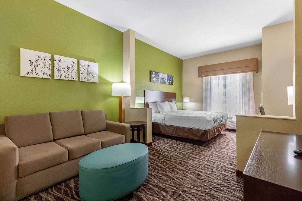 Suite, 1 King Bed with Sofa bed, Non Smoking