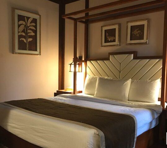 Sea Shell Samssara Samssara Lagoon 2