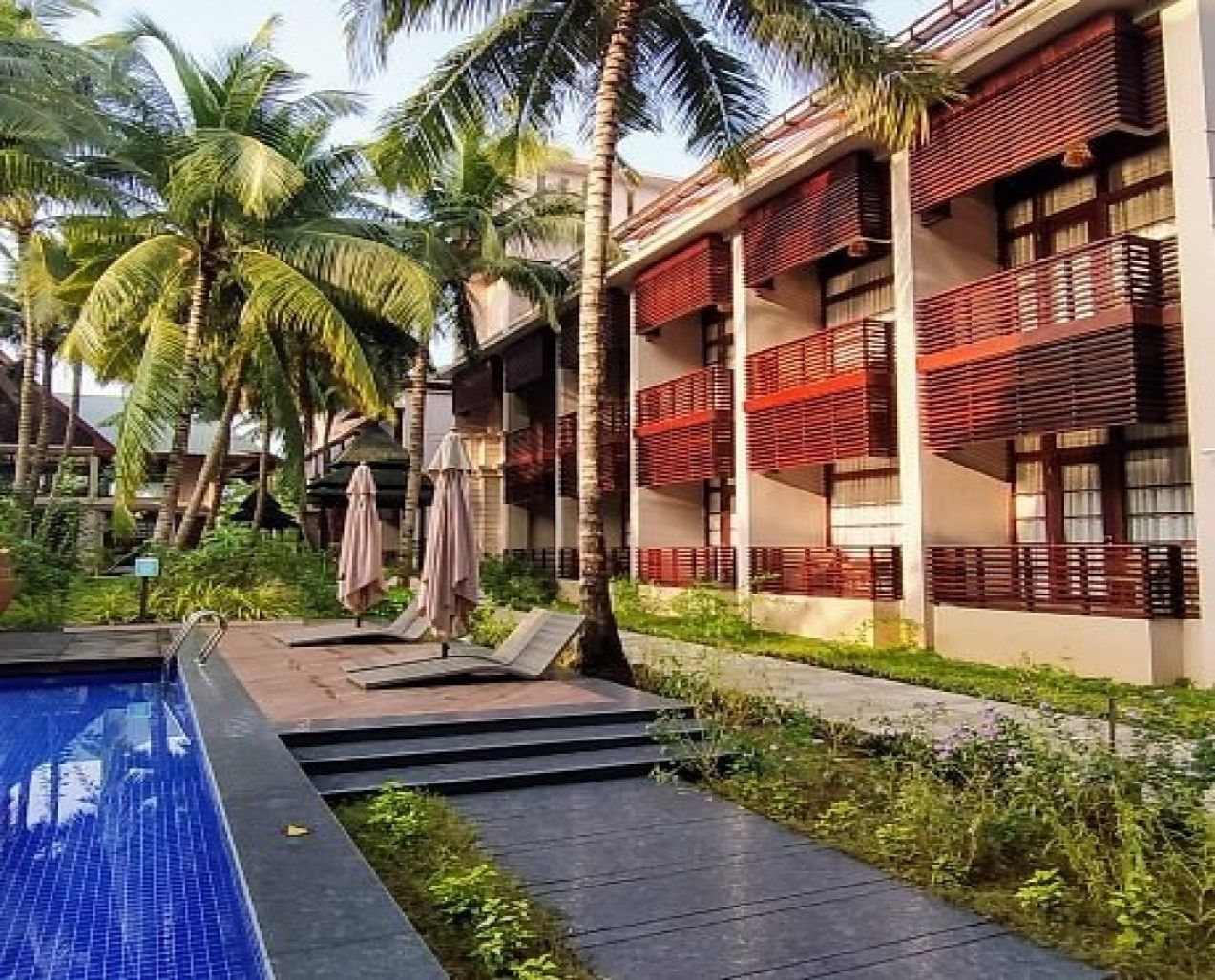 undefined Sea Shell Samssara