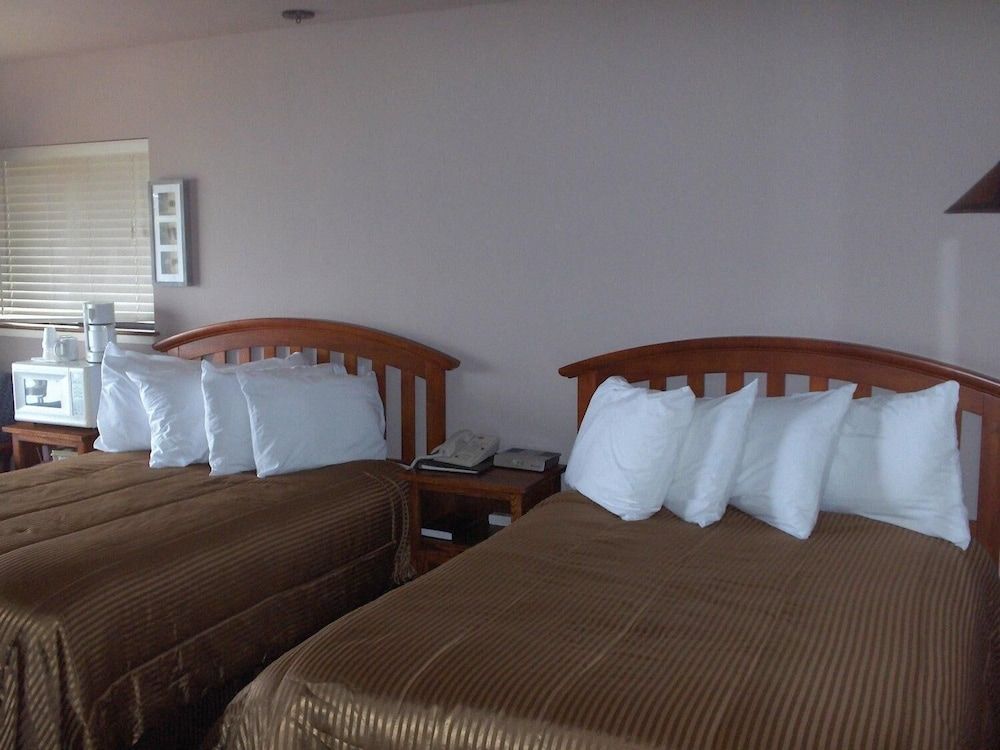 Surf Inn Standard Double Room, 2 Double Beds