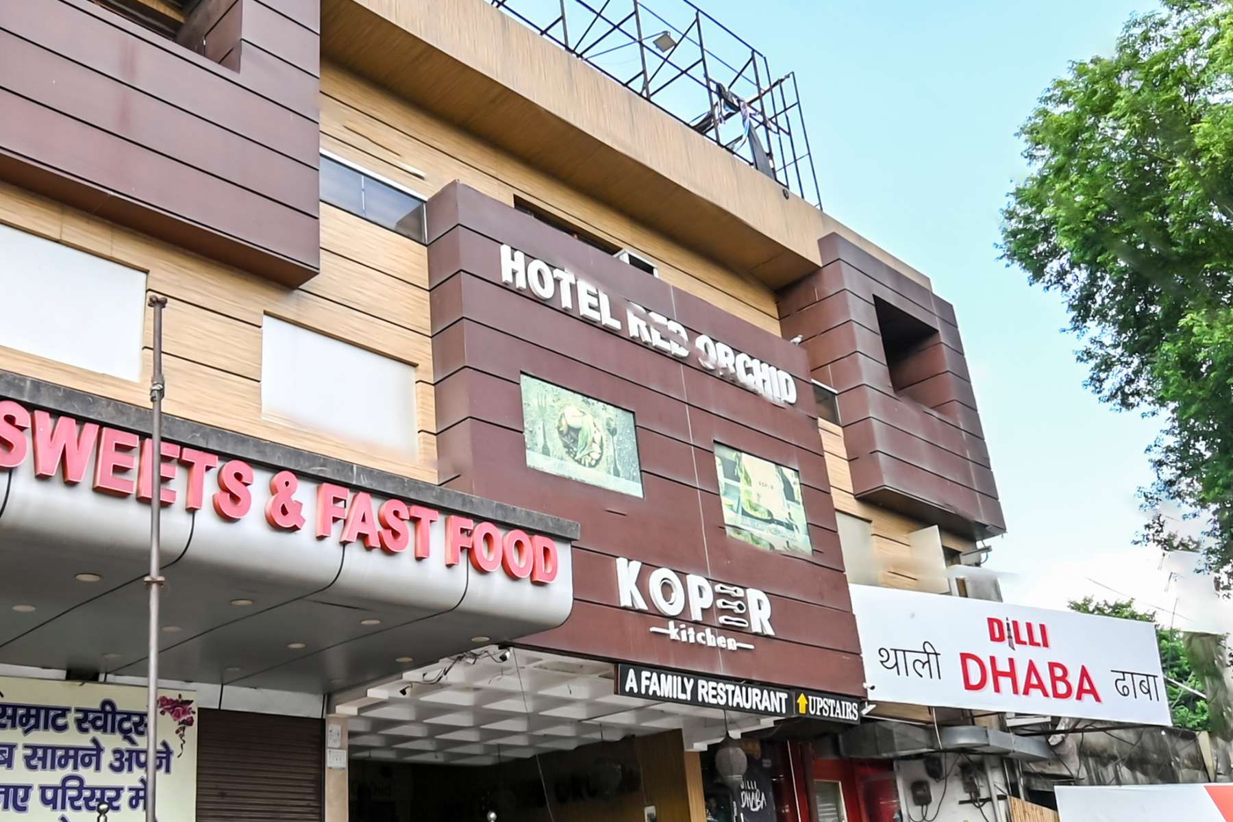 undefined Red orchid 9