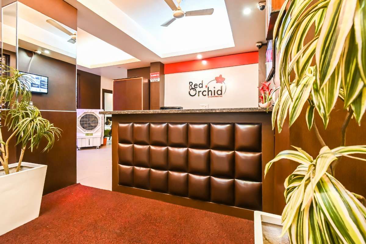 undefined Red orchid 2