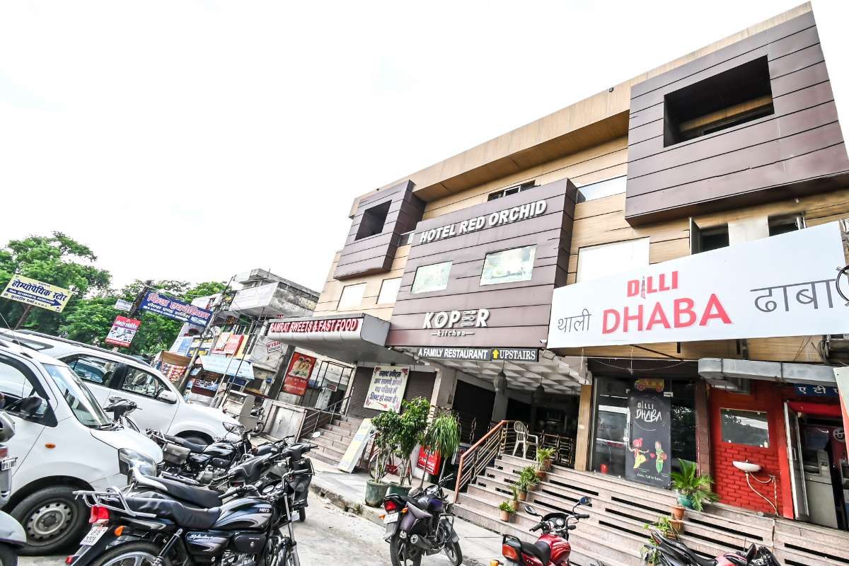 undefined Red orchid 10