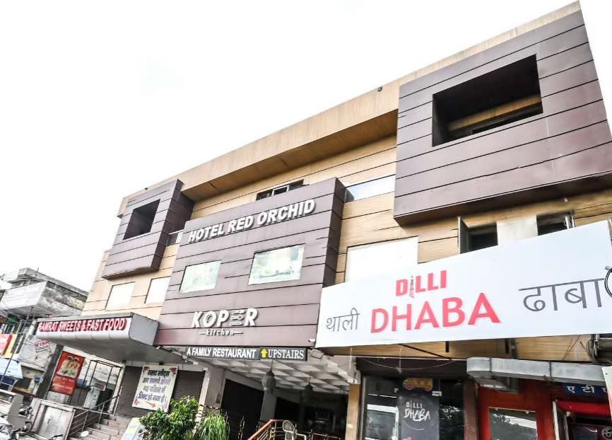 undefined Red orchid