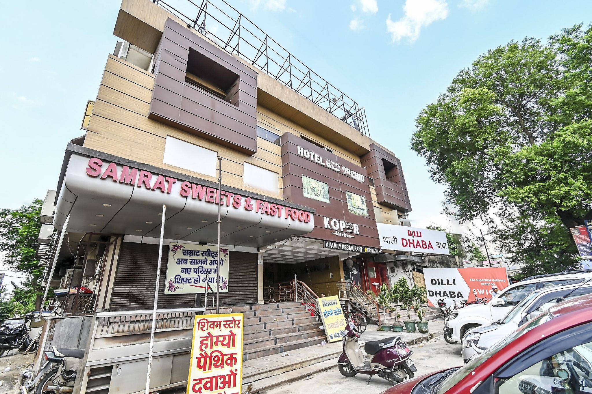 undefined Red orchid 8