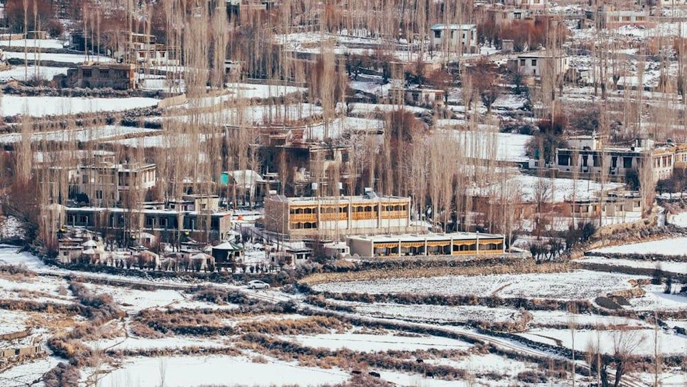 undefined Ladakh Sarai Resort 2