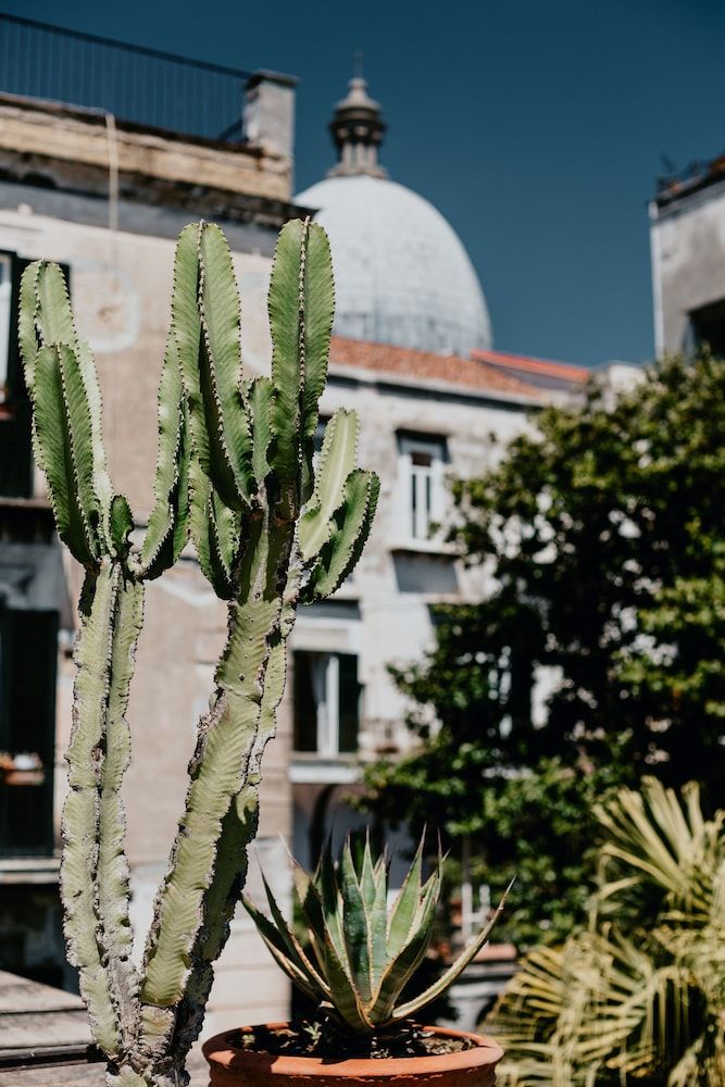 undefined Costantinopoli 104 5